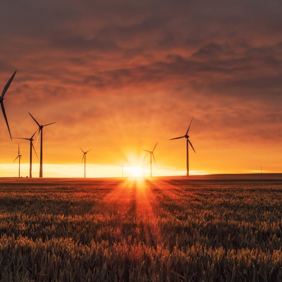 Windturbines in een groen landschap, symbool voor duurzaamheid en CO2-reductie