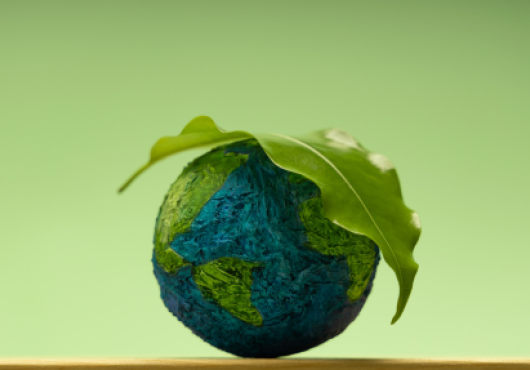 Groen blaadje op wereldbol